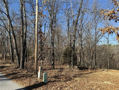 Lake Rayburn Lot For Sale in Bella Vista Arkansas