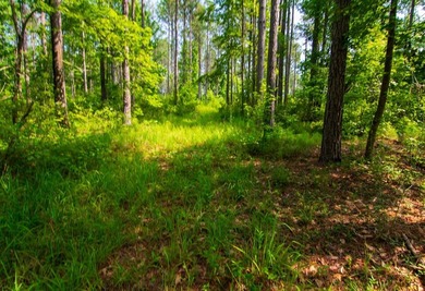Waverly Hall in Talbot county discover 16 wooded acres with - photo 3