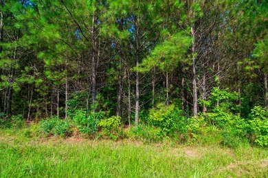 Waverly Hall in Talbot county discover 16 wooded acres with - photo 6