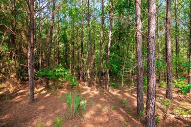 Waverly Hall in Talbot county discover 16 wooded acres with - photo 9