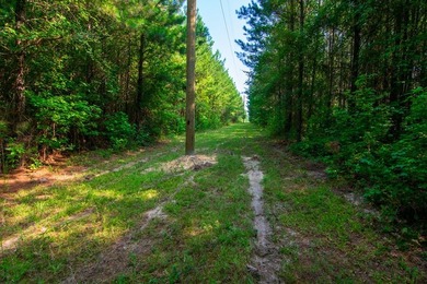 Waverly Hall in Talbot county discover 16 wooded acres with - photo 10