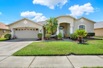 Lake Home For Sale in Land O Lakes, Florida