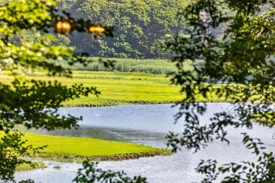 Attention artists, nature lovers, and water enthusiasts, your - photo 50