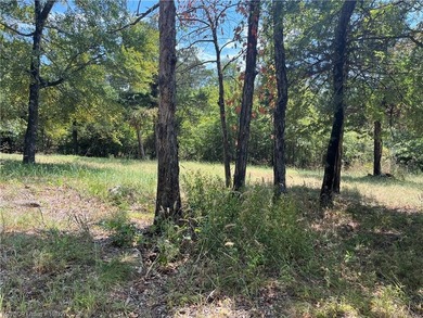 Welcome to your lake retreat in Stigler, Oklahoma. This - photo 56