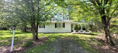 Lake Home For Sale in Albrightsville, Pennsylvania