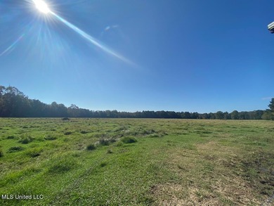 Pearl River Acreage For Sale in Poplarville Mississippi