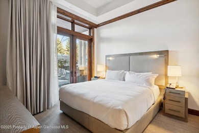 Enjoy prime summer time in Aspen. 2024 renovations completed - photo 11
