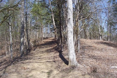 GREAT OPPORTUNITY & PRICE REDUCED $100,000! AMAZING 32.53 ACRES - photo 11