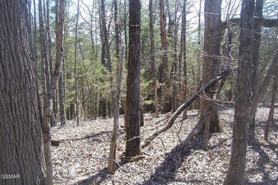 GREAT OPPORTUNITY & PRICE REDUCED $100,000! AMAZING 32.53 ACRES - photo 12