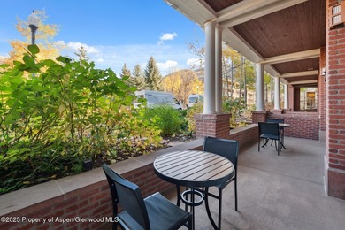 Enjoy prime summer time in Aspen. 2024 renovations completed - photo 13