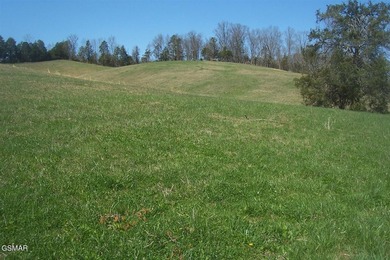 GREAT OPPORTUNITY & PRICE REDUCED $100,000! AMAZING 32.53 ACRES - photo 13
