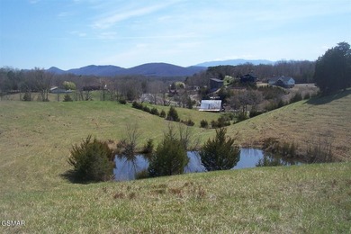 GREAT OPPORTUNITY & PRICE REDUCED $100,000! AMAZING 32.53 ACRES - photo 16