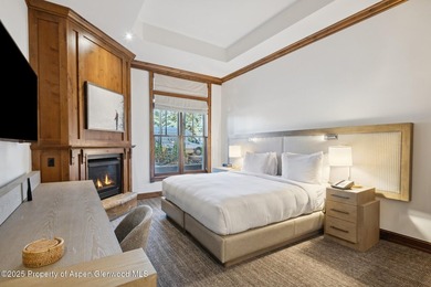 Enjoy prime summer time in Aspen. 2024 renovations completed - photo 21