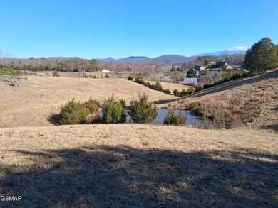 GREAT OPPORTUNITY & PRICE REDUCED $100,000! AMAZING 32.53 ACRES - photo 22