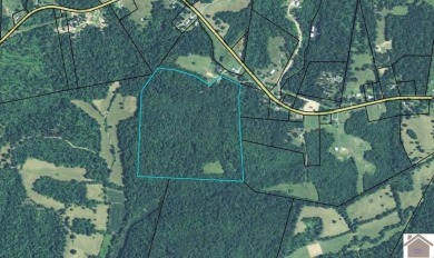 Lake Acreage For Sale in Eddyville, Kentucky