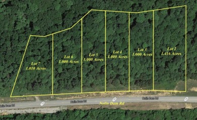 Lake House for Sale | Nolin Bluffs (Lot 3) - photo 9
