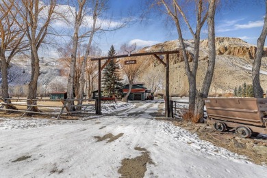 Lake Home For Sale in Clayton, Idaho