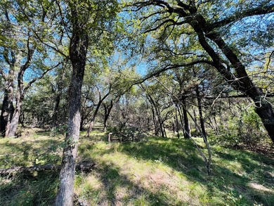 13.39 ac. Property on I-20 just East of the HWY 281 intersection - photo 15