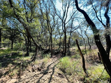 13.39 ac. Property on I-20 just East of the HWY 281 intersection - photo 21