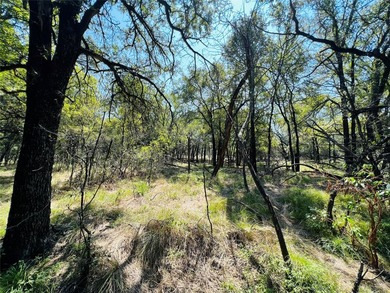 13.39 ac. Property on I-20 just East of the HWY 281 intersection - photo 25
