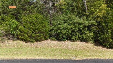 Your Lake Escape in the Woods - photo 8