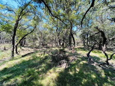 13.39 ac. Property on I-20 just East of the HWY 281 intersection - photo 35