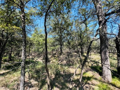 13.39 ac. Property on I-20 just East of the HWY 281 intersection - photo 36