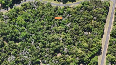 Your Lake Escape in the Woods - photo 11