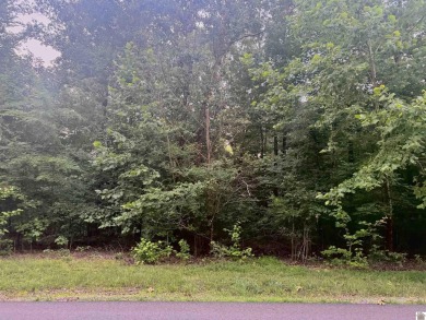 Kentucky Lake Lot For Sale in Murray Kentucky