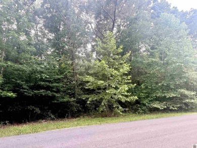 Discover Your Dream Home Site on Kentucky Lake! Nestled on 1.26 - photo 3