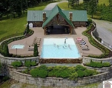 Discover Your Dream Home Site on Kentucky Lake! Nestled on 1.26 - photo 5