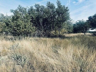 Lake Lot For Sale in Brownwood, Texas