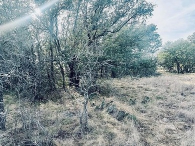 Beautiful .56-acre lot located near The Hideout Golf Course - photo 4