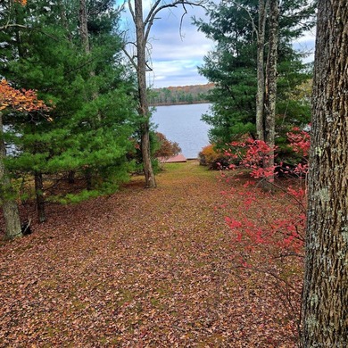Rare opportunity to own a lakefront home in Lake Joseph. These - photo 5