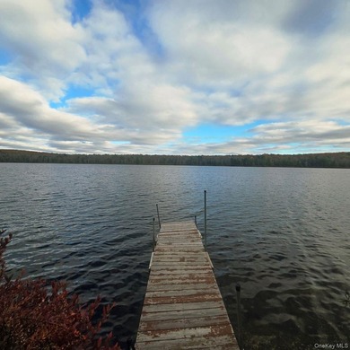 Rare opportunity to own a lakefront home in Lake Joseph. These - photo 6
