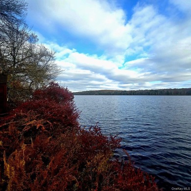 Rare opportunity to own a lakefront home in Lake Joseph. These - photo 7