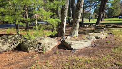 Rare opportunity to own a lakefront home in Lake Joseph. These - photo 8