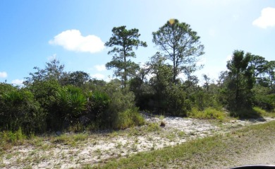 Lake Lot For Sale in Lake Placid, Florida