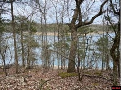 Lake Lot For Sale in Agnos, Arkansas