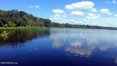 Georges Lake Lot For Sale in Florahome Florida