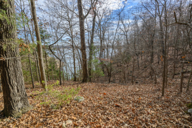 Wanting to build with a view of the lake. - photo 14
