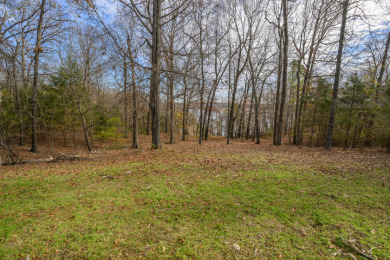 Wanting to build with a view of the lake. - photo 8