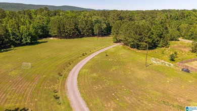 NEW PRICE! Experience lakefront living at its finest on this - photo 38