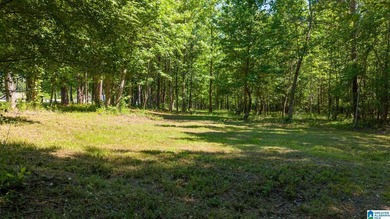 NEW PRICE! Experience lakefront living at its finest on this - photo 42