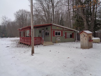 Lake Home For Sale in Lachine, Michigan