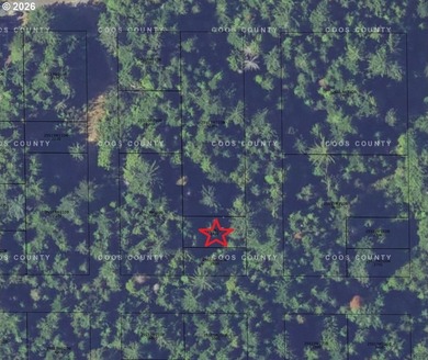FORESTED .115 ACRE east of Boys & Girls Club, south of 26th St - photo 1