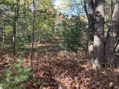 Lake Acreage For Sale in Cadillac, Michigan