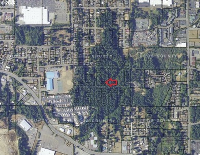 FORESTED .115 ACRE east of Boys & Girls Club, south of 26th St - photo 2