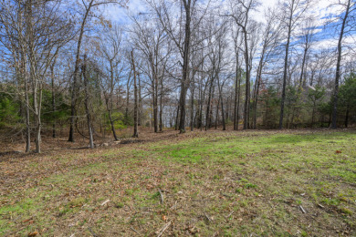 Wanting to build with a view of the lake. - photo 7
