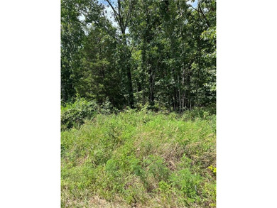 Lake Loch Lomond Lot For Sale in Bella Vista Arkansas